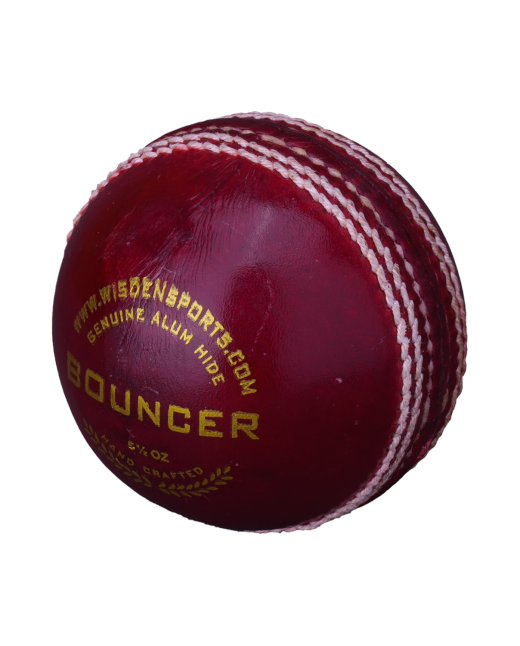 BOUNCER RED BALL