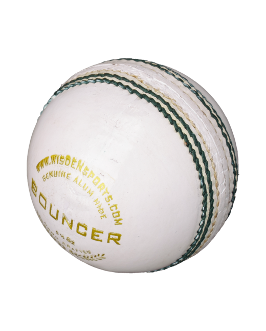 BOUNCER WHITE BALL